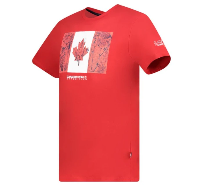Koszulka  RED RM MEN 233 model 21358989 - Canadian Peak