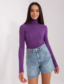 Sweter PM SW model 18909404 ciemny fioletowy - FPrice