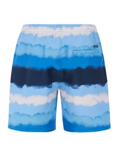 Pánské plážové šortky model 20438168 - Protest