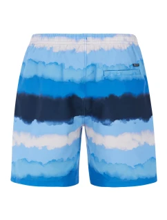 Pánske plážové šortky Protest PRTHAMSEY