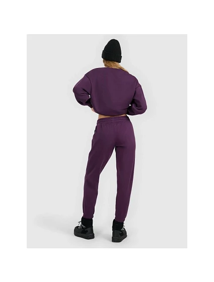 Dámské tepláky joggers model 22171655 dámské - 4F