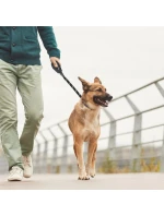 DOG LANYARD 150x1,2 cm s krytom