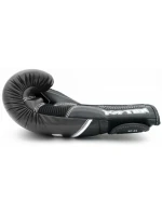 Boxerské rukavice model 21366795 - TOP TEN Boxerské rukavice model 21366795 - TOP TEN