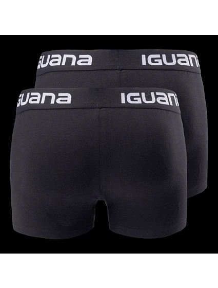 Boxerky  M model 21252518 - Iguana