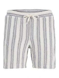 pánské šortky   SHORTS SN  DANCER/S model 22199565 - Jack&Jones