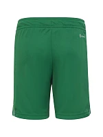 Detské šortky Tiro 23 League Jr IB8096 - ADIDAS