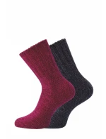 Dámské ponožky  Socks 3542 model 19002409 - WiK