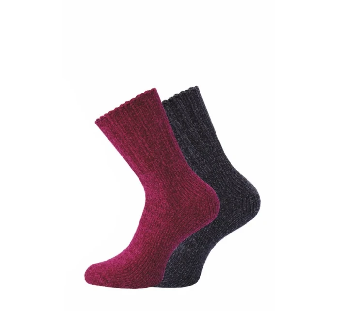 Dámské ponožky  Socks 3542 model 19002409 - WiK