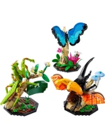 Kolekcia LEGO Ideas 21342 Hmyz