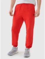 Pánské tepláky 4F Pánské tepláky 4F