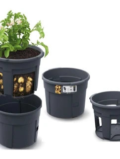 DONICZKA DO   dětské model 21833870