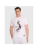 Pánske volejbalové tričko s potlačou 4F 4FRAW25TTSHM3318-10S Pánske volejbalové tričko s potlačou 4F 4FRAW25TTSHM3318-10S