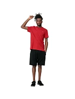 Pánske tričko M H4Z22 TSM352 62S - 4F