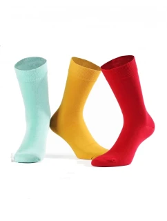 Pánske ponožky Wola Perfect Man W 94.N03