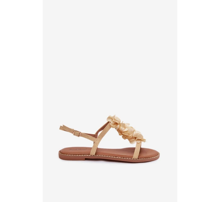 Dámské sandály Ploché s Ozdobnými Zlaté model 21961016 - Boto