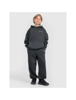 Chlapecké tepláky joggers model 21736539 - 4F