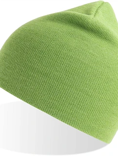 Holly Pletená čepice  green model 22479107 - Atlantis Headwear