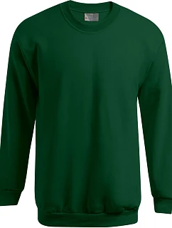 Pánská mikina 40. forest model 22536939 - Promodoro