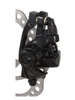 s model 21850084 - Saccon