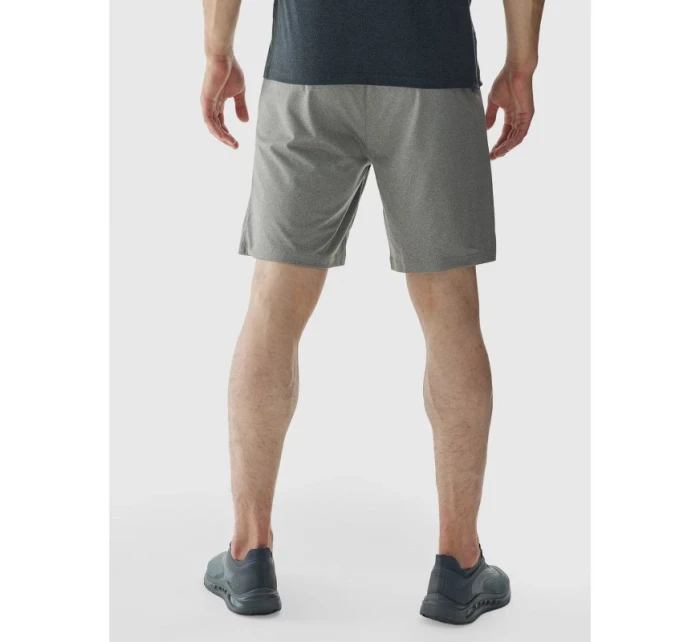 Pánské rychleschnoucí tréninkové šortky model 21432033 - 4F