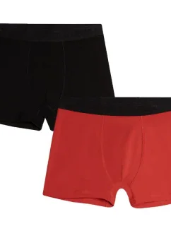 Boxerky 1 M AW23UBXS 91S model 19061650 - 4F