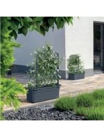 ANTHRACITE Dětské model 21874382