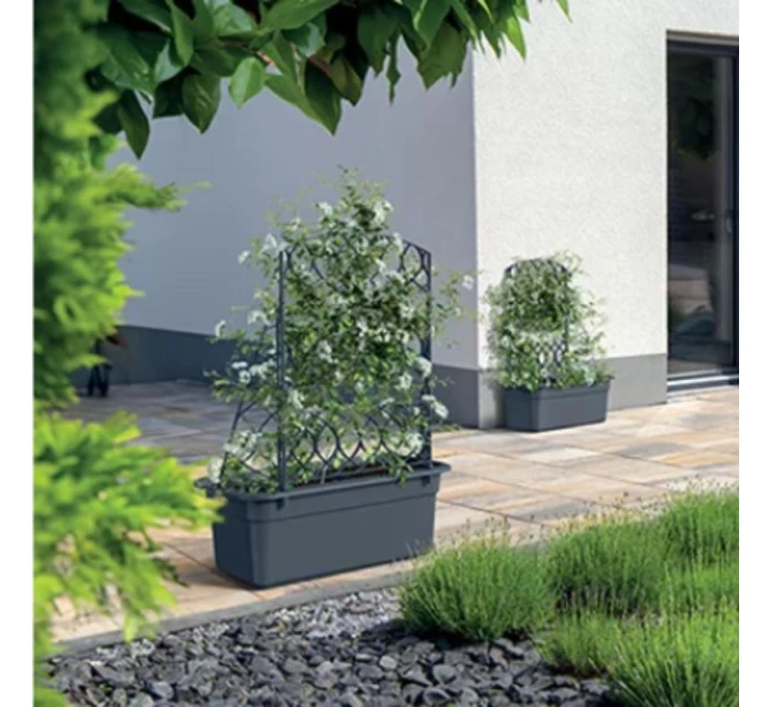 ANTHRACITE Dětské model 21874382