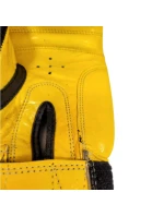 10 oz boxerské rukavice model 21347365 - TOP TEN