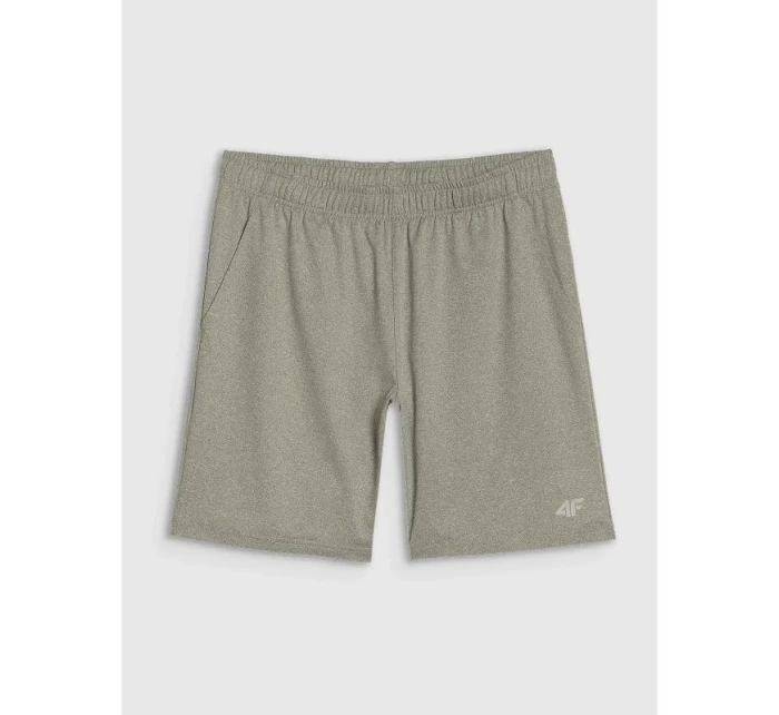 Pánské rychleschnoucí tréninkové šortky model 21434220 - 4F Pánské rychleschnoucí tréninkové šortky model 21434220 - 4F