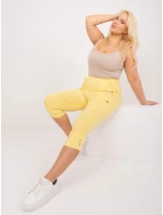 Spodnie AT SP model 19658773 jasny żółty - FPrice