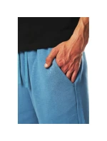 Pánské teplákové šortky model 21434736 - 4F