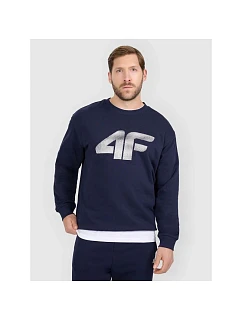 Pánska mikina s kapucňou 4F 4FRMM00TSWSM2479-31S