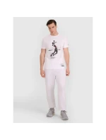 Pánske volejbalové tričko s potlačou 4F 4FRAW25TTSHM3318-10S Pánske volejbalové tričko s potlačou 4F 4FRAW25TTSHM3318-10S