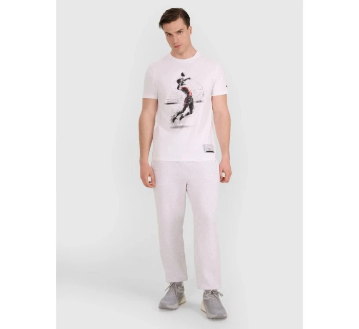 Pánske volejbalové tričko s potlačou 4F 4FRAW25TTSHM3318-10S Pánske volejbalové tričko s potlačou 4F 4FRAW25TTSHM3318-10S