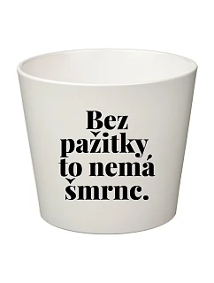 BEZ PAŽITKY TO NEMÁ ŠMRNC. - malý květináč