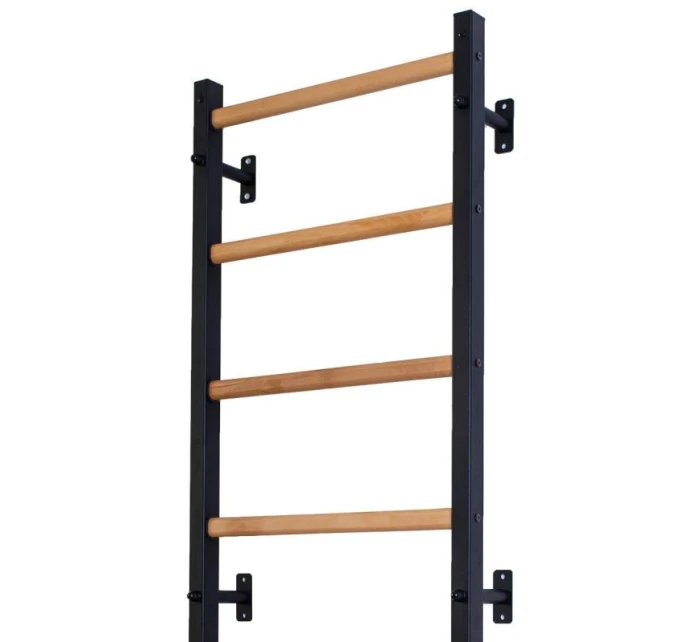 GYMNASTICKÝ REBRÍK S NASTAVITEĽNOU TYČOU A ZÁBRADLÍM BENCHK 732B