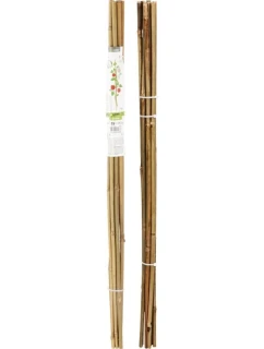 Opora pre rastliny 60cm BAMBUS 10 PROGARDEN