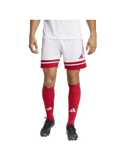 Šortky adidas Squadra 25 M JH3404