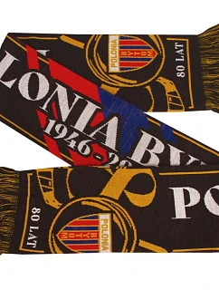 Šála Polonia Bytom 80 let model 22054825 - Hikvision