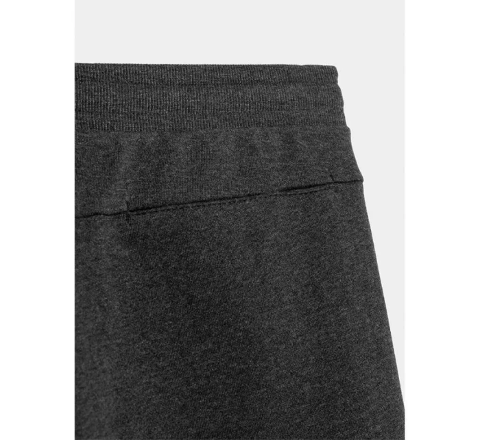 Pánske šortky M 4FSS23TSHOM156 23M - 4F Pánske šortky M 4FSS23TSHOM156 23M - 4F