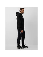 Spodnie dresowe joggery męskie model 22548177 - 4F Spodnie dresowe joggery męskie model 22548177 - 4F