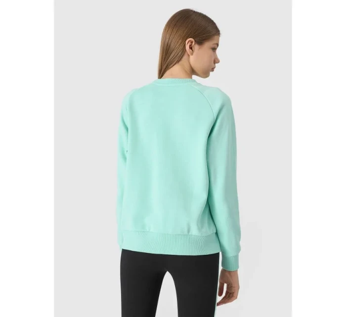 Mikina Jr model 19912480 - 4F