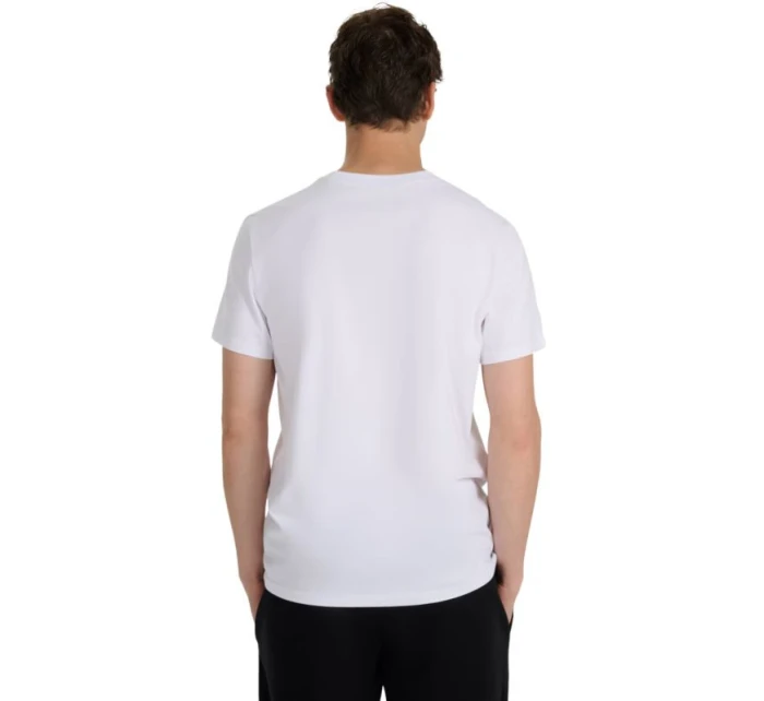 Tričko M model 21401745 10S pánské - 4F Tričko M model 21401745 10S pánské - 4F