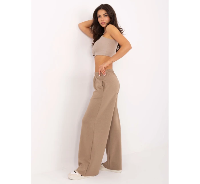 Spodnie IT SP model 21389022 ciemny bezowy - FPrice Spodnie IT SP model 21389022 ciemny bezowy - FPrice