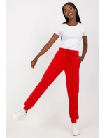 Teplákové nohavice model 169723 BFG Teplákové nohavice model 169723 BFG