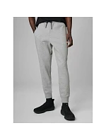 Pánské tepláky typu jogger model 22117482 - 4F