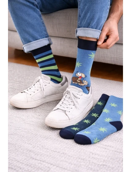 Pánské ponožky Premium A'3 model 20500420 - Cornette