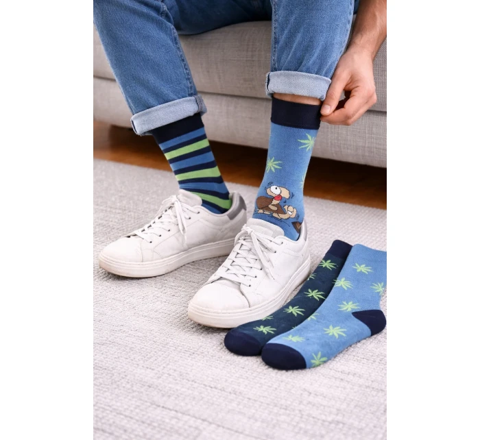 Pánské ponožky Premium A'3 model 20500420 - Cornette