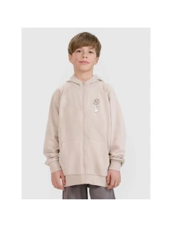 Chlapecká mikina s kapucí model 21435187 - 4F