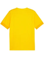 teamGoal Jersey M 07 pánské model 21283911 - Puma